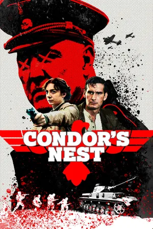 Condor's nest